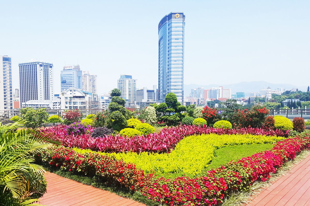 福州市市民服務(wù)中心屋頂花園.jpg